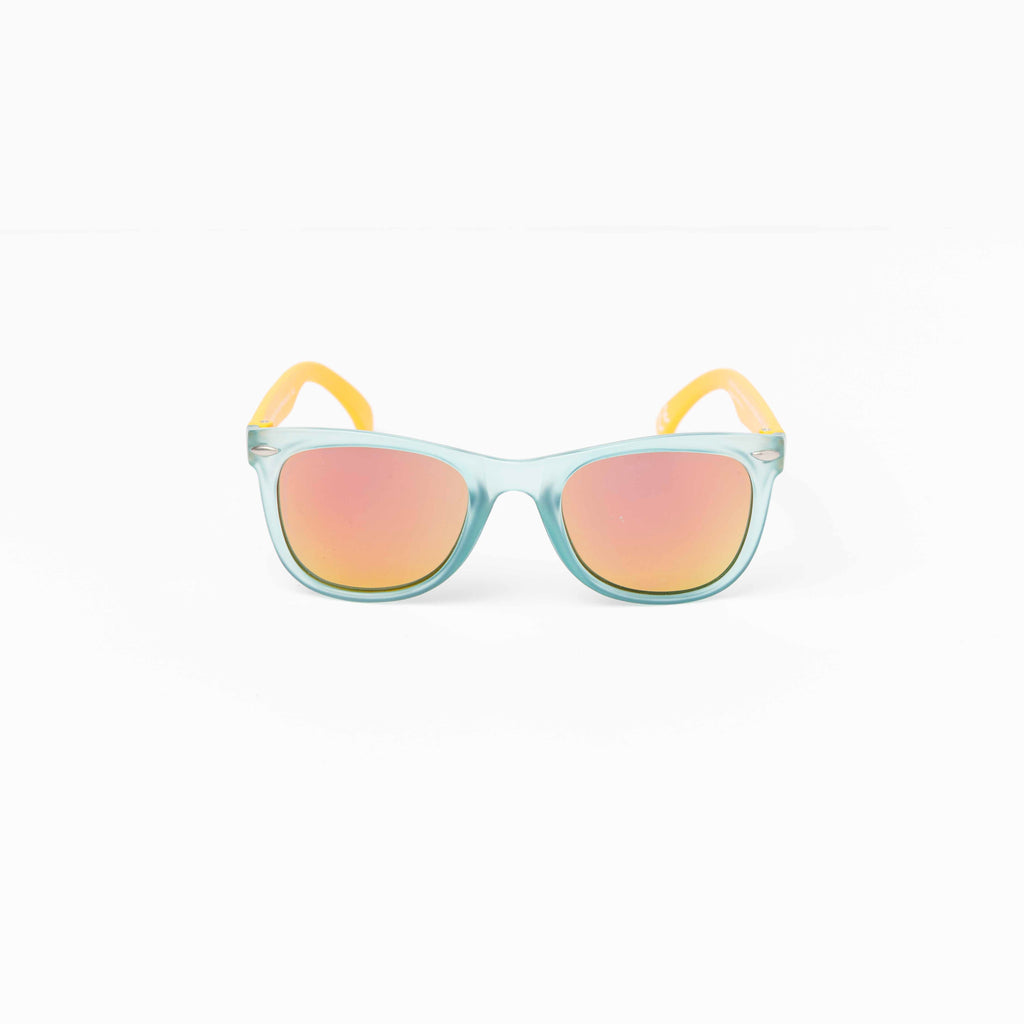 SBS008