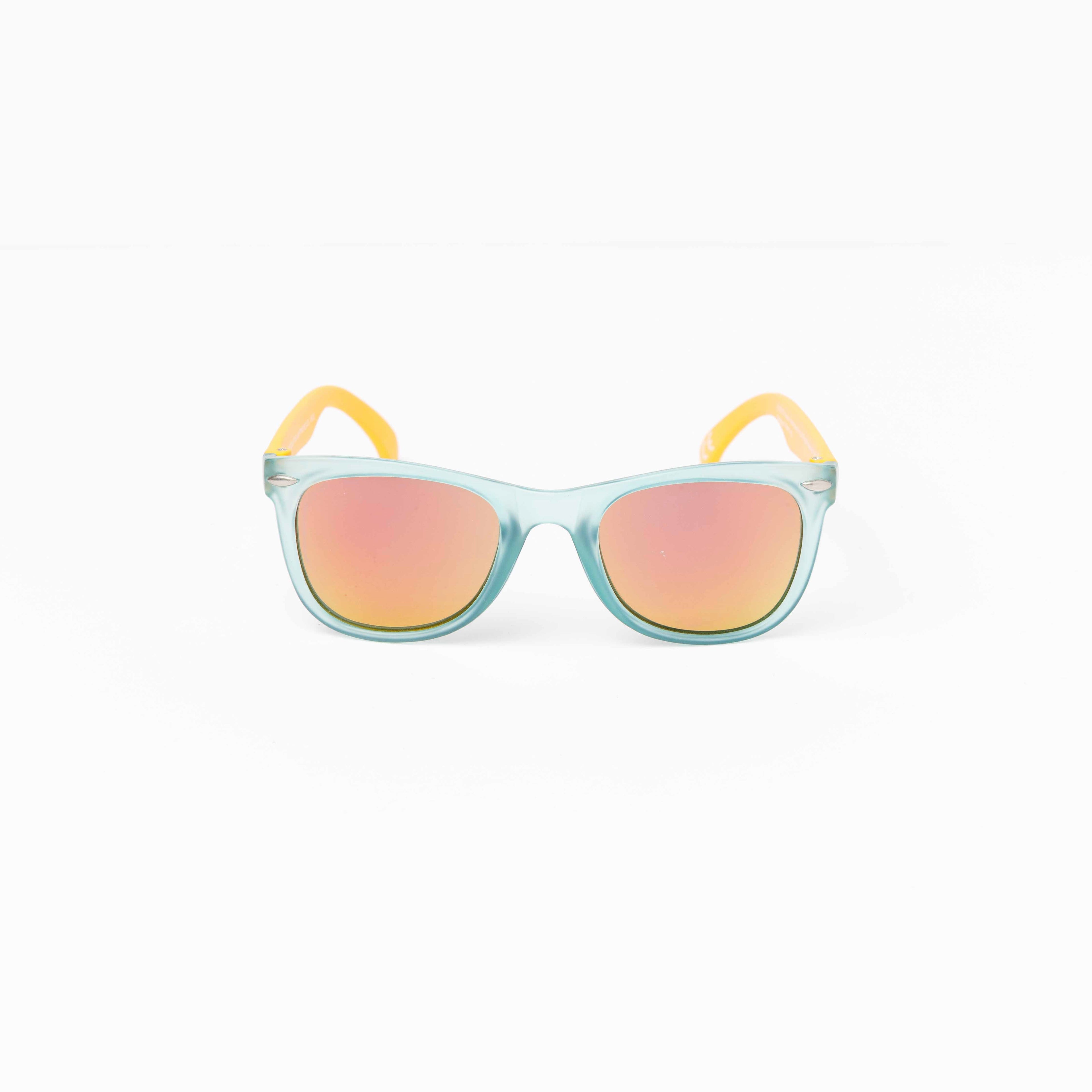 SBS008